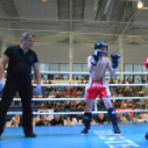 Küzdősport Gála a KÉSZ Arénában