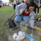 Családi délutánt rendeztek a Gyepmesteri Telepen