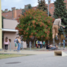 Összefogtak a félegyházi extrém sportot űző fiatalok