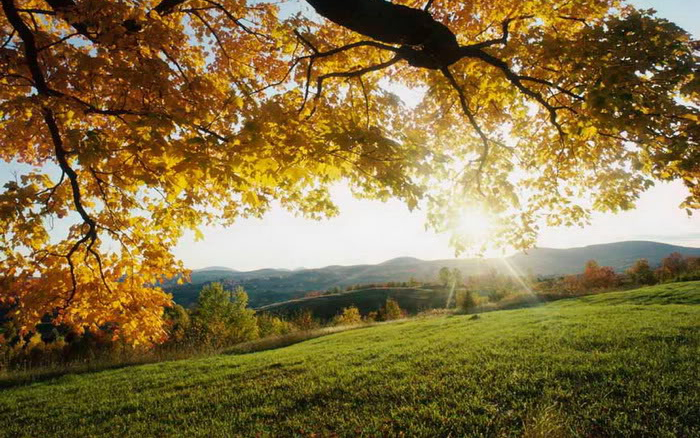 A jövő héten ismét visszatér a 30 fokos meleg