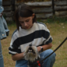 Izgalmas programok színesítették a Kutatók éjszakáját a Móra gimiben