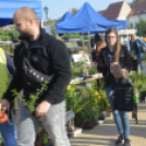 Őszi virágünnep Kiskunfélegyházán