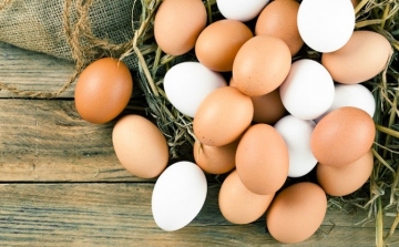 Újabb szennyezett tojásokat találtak