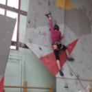 Magyar Hegy- és Sportmászó Szövetség Falmászó Versenyének Bajnoki Fordulója