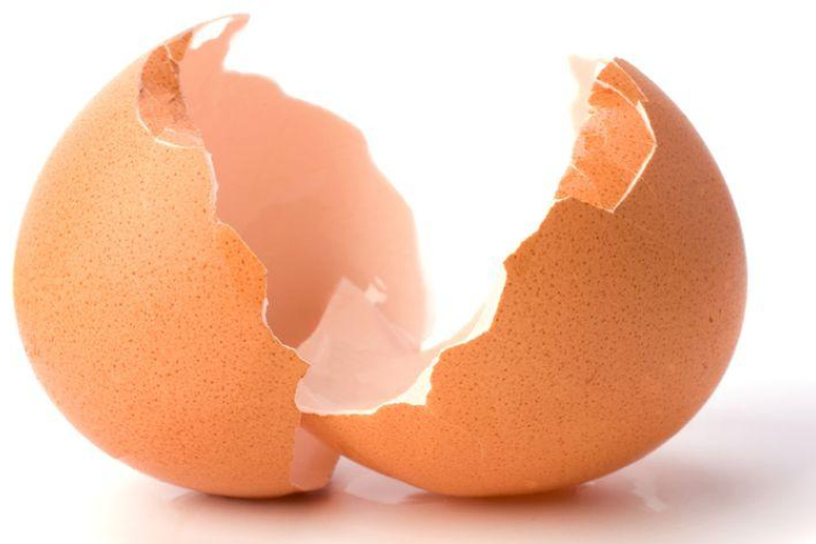 Tojáshéjat az öntözővízbe!