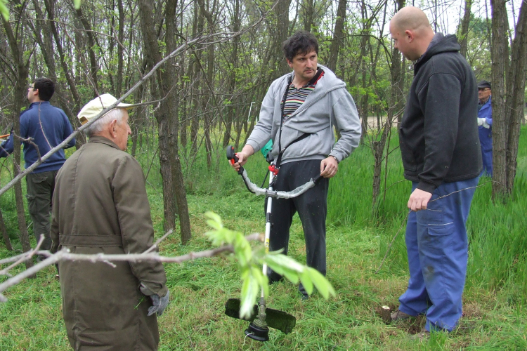 (NE CSAK) a saját házad előtt söprögess!
