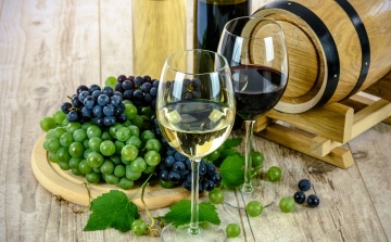 Az Európai Bizottság jóváhagyta a Csopaki borok oltalom alatt álló eredetmegjelölését