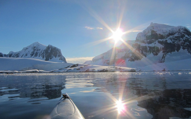 Hálóba gabalyodott, hátúszó nélküli hosszúszárnyú bálnát láttak az Antarktiszon