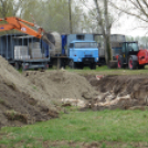 tömegesen földelték el a döglött kacsákat Majsán