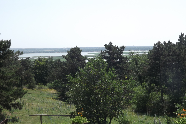 A Kiskun Természetbarát SE Velencei-tavi kalandjai