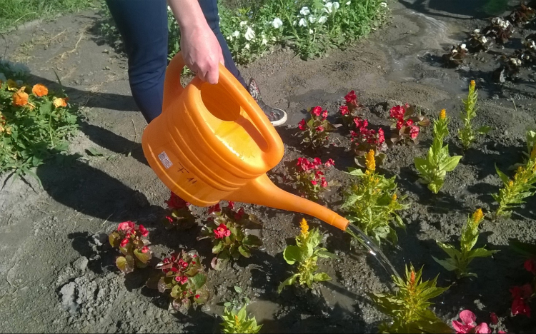 Parkgondozói álláslehetőség