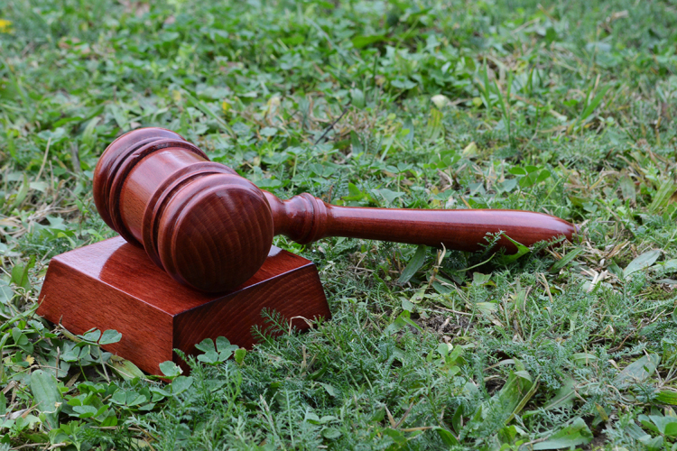 Megkezdődtek Bács-Kiskun megyében az első földárverések