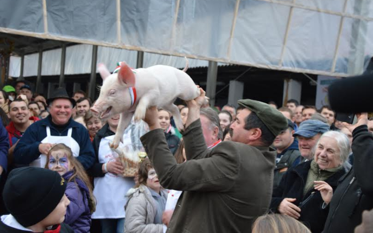 Kolbászünnep Szabadszálláson