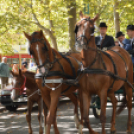 Szüreti felvonulás 2017.