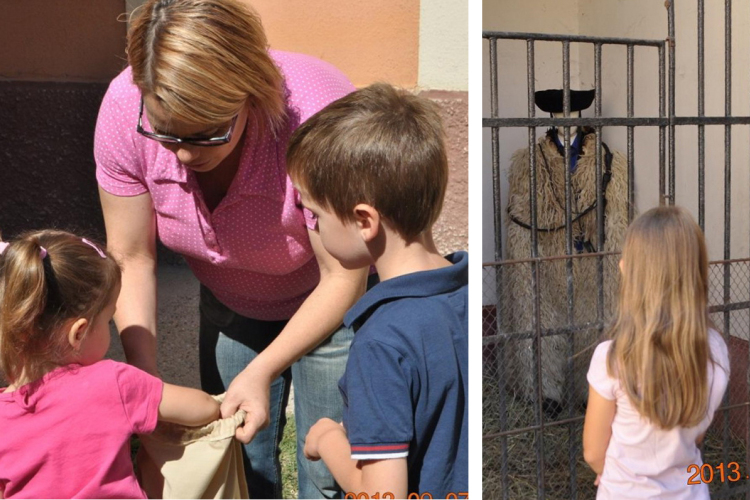 „Hova menekült Ruzsa Sándor?”