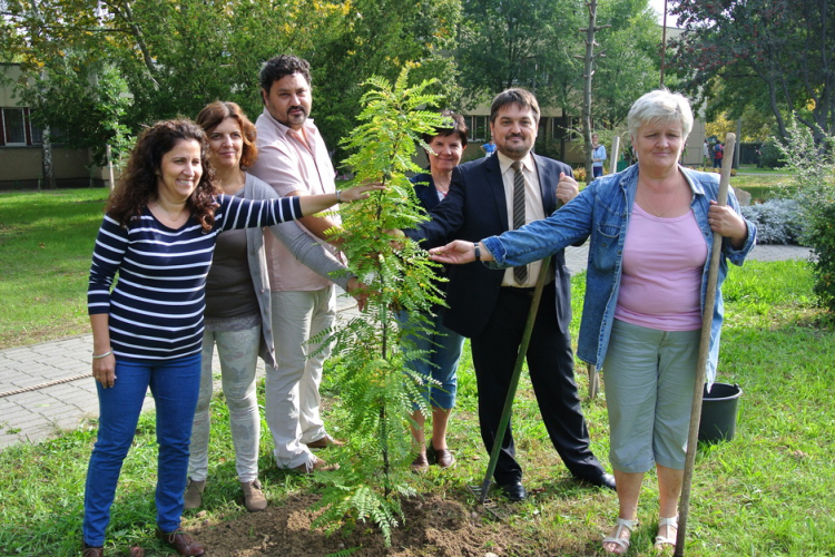 Családi programmal folytatódott a Széchenyi-nap