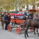 Szüreti felvonulás 2018.