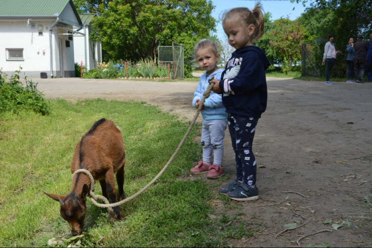 Gyermeknapot tartottak a Tangazdaságban