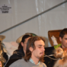 Az utolsó fellépők is óriási sikert arattak