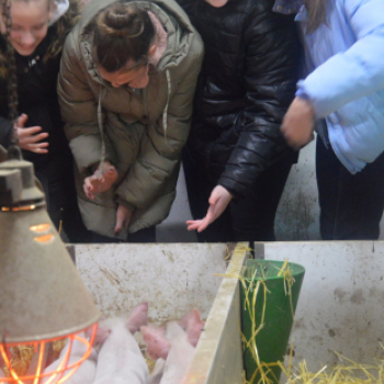 Csatlakozott a Dózsa Iskola is az Állatvédelmi témahéthez