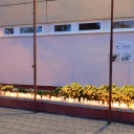 Felelevenítették a Márton-napi szokásokat a Platán iskolában