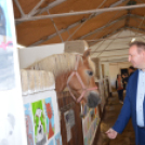 Tömegeket vonzott a Mezgé piknikje a tangazdaságba