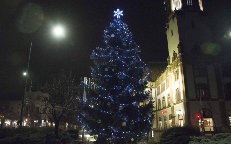 Keresünk fenyőt a város karácsonyfájához