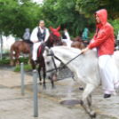 Égi áldás hullott a gazdaköri felvonulókra