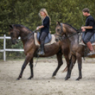 Nyárbúcsúztató Nyeregszemle 2017