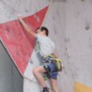 Magyar Hegy- és Sportmászó Szövetség Falmászó Versenyének Bajnoki Fordulója