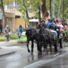 Nem számított az eső sem a szüreti felvonulóknak