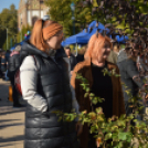Őszi virágvásárt tartottak a városközpontban