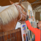 Tömegeket vonzott a Mezgé piknikje a tangazdaságba