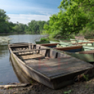 Önkéntesek szépítették meg a lakiteleki Holt-Tiszapartot