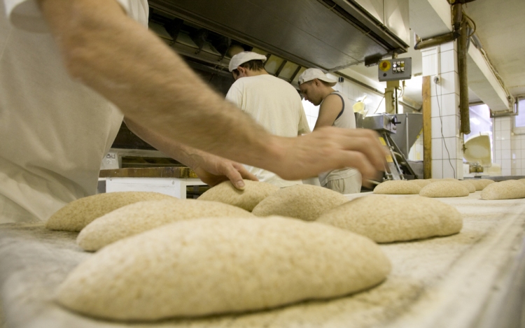 Trendek és tévhitek – de miért drágul a kenyér?