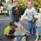 Soha nem találsz náluk különb barátot...