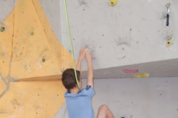 Magyar Hegy- és Sportmászó Szövetség Falmászó Versenyének Bajnoki Fordulója