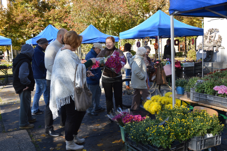 Őszi virágvásár Félegyházán
