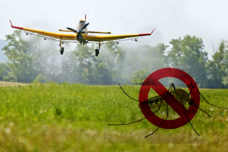 Szúnyogirtás Félegyházán