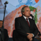 21. Kiskunfélegyházi Libafesztivál