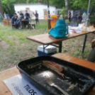 Koppányok áprilisa a hagyomány, a kultúra és a sport körül