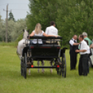 Kiskunfélegyházi Fogathajtó Verseny