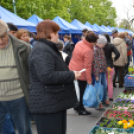 Virágünnep Félegyházán