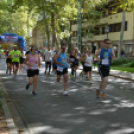 Közel 250 résztvevővel rendezték meg a Ludas Matyi Futamot Kiskunfélegyházán