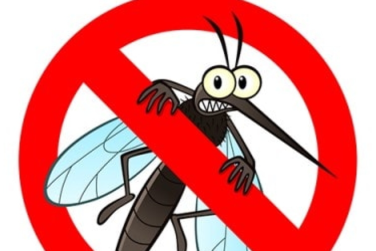Jövő szerdán szúnyogirtás lesz a városban