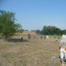 A Turul Koppányok augusztusa