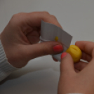 Betekinthettek a mezőgazdasági iskola kulisszatitkaiba