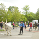Felvonulással vette kezdetét a pásztortalálkozó