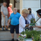 Díjazták a Virágos Félegyházáért Mozgalomban résztvevőket