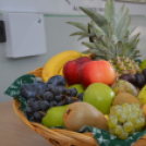 Az élelmiszer pazarlásra hívta fel a figyelmet a Mezgé